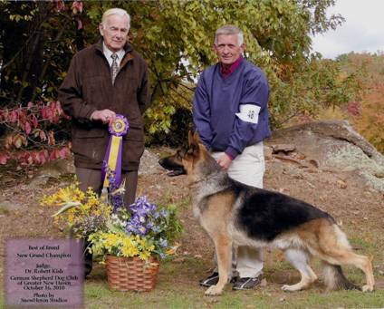 C:\Users\Mike\Pictures\My Scans\Grand Champion.jpg